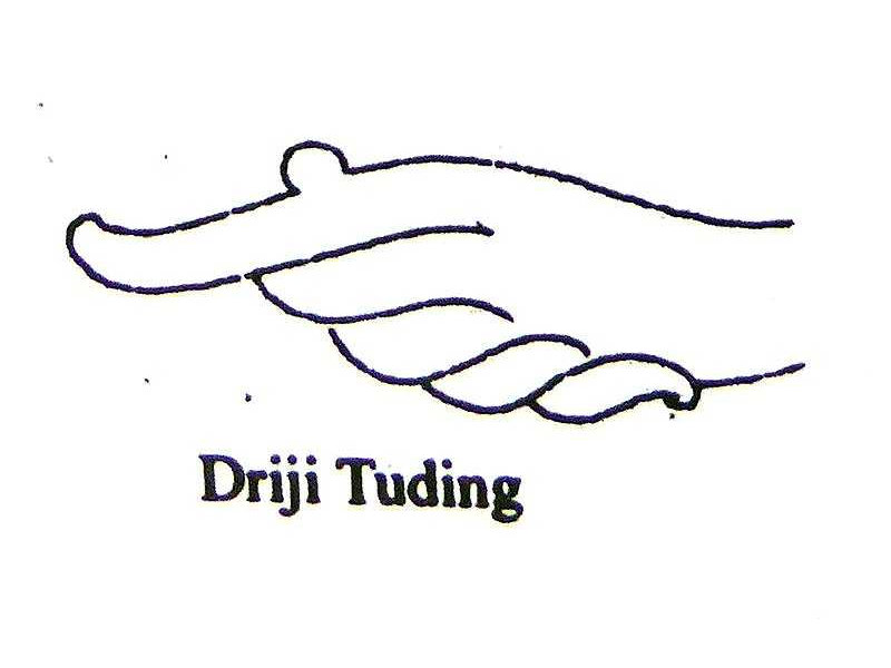 hands-driji tuding-pointing-sunarto 118